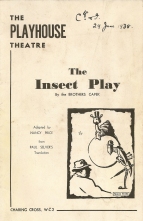 Insect Play programme